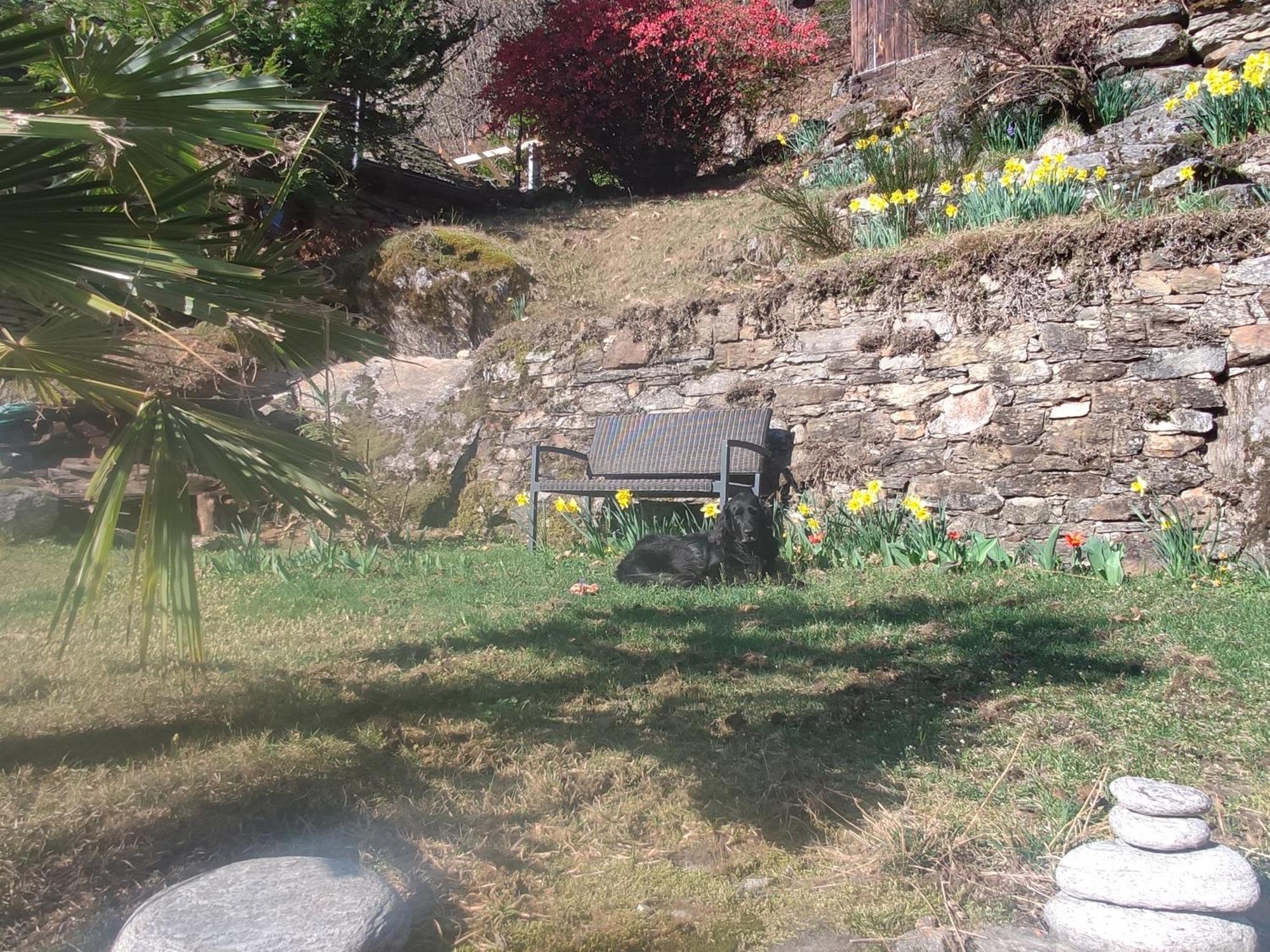 Oasis Di Riposa Βίλα Semione Εξωτερικό φωτογραφία